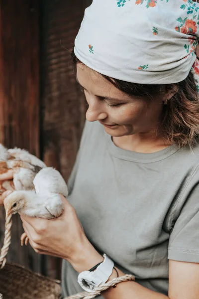 Una Mujer Agricultora Sostiene Cuidadosamente Pequeños Pollos Amarillos Sus Manos —  Fotos de Stock