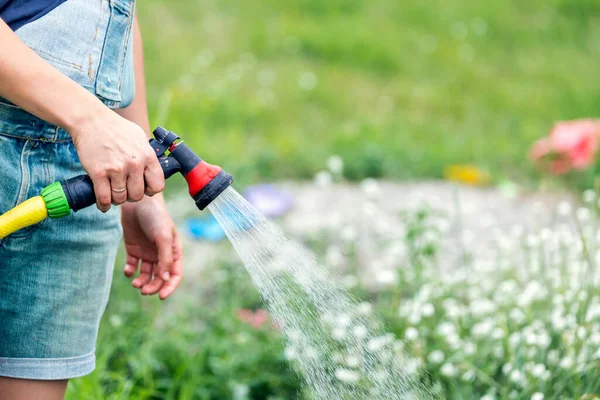 Közelkép Egy Női Háziasszonyról Aki Kertben Öntözi Növényeket Egy Locsolófejes — Stock Fotó