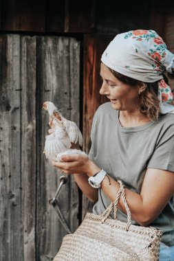 Bir bayan hostes bahçesinde yeni doğan sarı tavuklarla ilgilenir. Küçük ev çiftliği ve evcil hayvan bahçesi konsepti