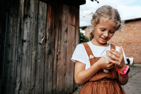 Girl Takes Care Newly Born Yellow Chickens Yard Small Home — Stock Photo, Image