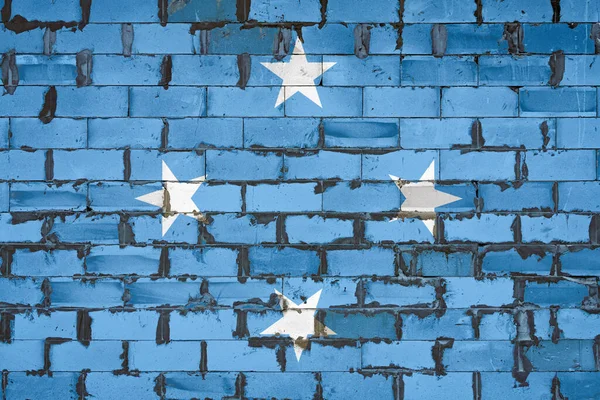 Národní Vlajka Spolkových Zemí Mikronésie Namalovaná Stěnu Sourozeneckých Bloků Cementem — Stock fotografie