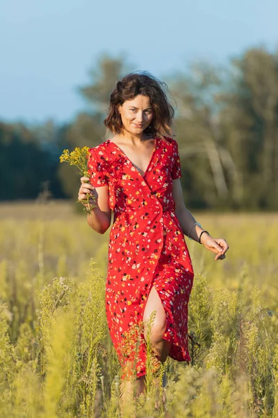 Romantic Walk Curly Haired Girl Red Long Dress Fields Concept — Stock Photo, Image