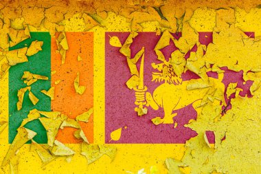 Sri Lanka 'nın ulusal bayrağı eski metal bir duvara eski püskü boyayla boyanmış. Ülke sembolü.