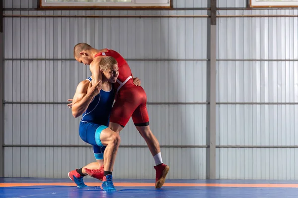 レスリングカーペットに対して赤と青の均一なレスリングの2人の若いスポーツマンのレスラー サイドを表示 — ストック写真