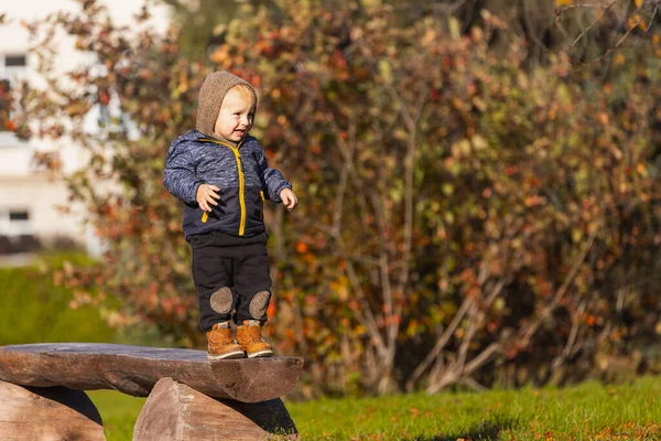 Kisgyerek Vidáman Sétál Megteszi Első Lépéseket Egy Padon Parkban Egy — Stock Fotó