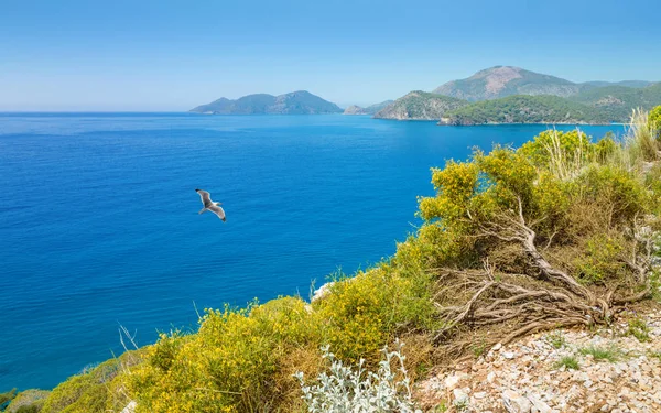 올 루 데니스, 페티예 지구, 터키 근처 맑은 하늘빛 푸른 바다 로열티 프리 스톡 이미지