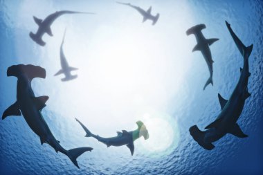 School of hammerhead sharks circling from above the ocean depths. 3d rendering clipart