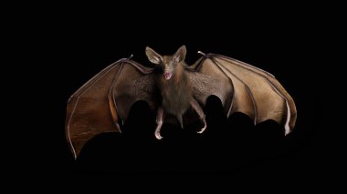 Kan susamış vampir yarasa karanlıktan swooping. 3D render