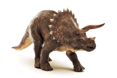 Triceratops Jurassic dinozor sürüngen beyaz bir arka plan üzerinde. 3d render