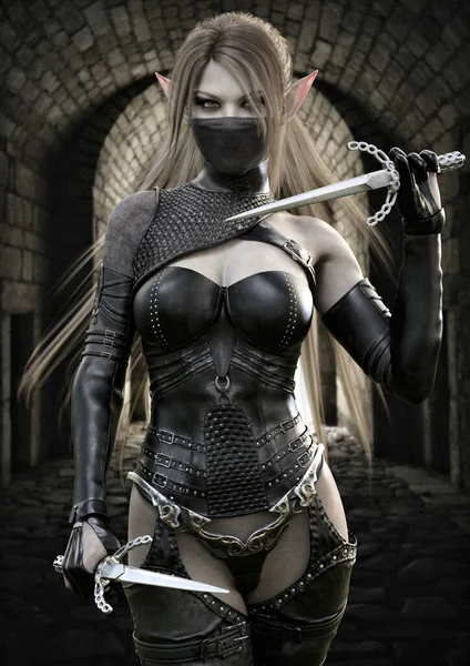一个戴面具的幻想精灵刺客的画像 身穿深色皮革盔甲 手持两把剑 战士有一头棕色的长发 正向她的目标走去 3D渲染幻想插图 — 图库照片