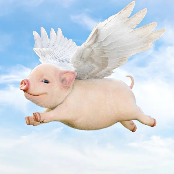 Свиньи Летают Концепцию Милый Поросенок Крыльями Летящими Воздуху Рендеринг — стоковое фото