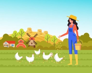 Woman farmer worker character feeding chickens. Farming agriculture concept. Vector flat cartoon graphic design illustration