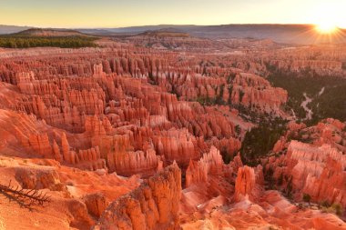 Sunrise noktası Bryce Canyon Milli Parkı'nda Utah ABD gündoğumu sırasında.