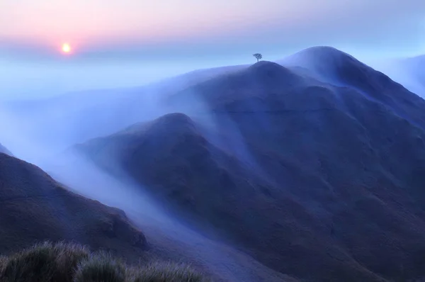 Mount Pulag Filipinler Sunrise
