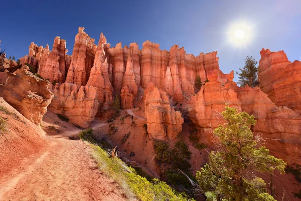 Ένα Μονοπάτι Στο Εθνικό Πάρκο Bryce Canyon Στη Γιούτα Ηπα — Φωτογραφία Αρχείου