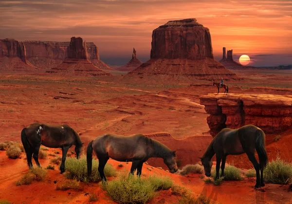 Paarden John Fords Punt Het Hoofd Monument Valley Tribal Park — Stockfoto