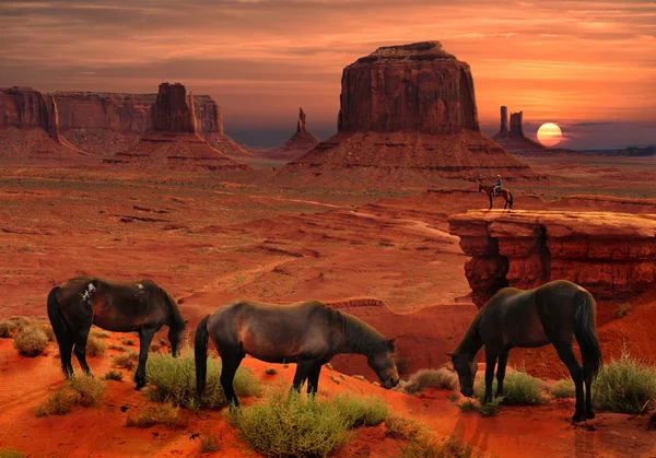 Chevaux John Ford Point Overlook Monument Valley Tribal Park Arizona — Photo