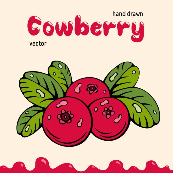 Ilustração vetorial de cowberry, imagens de bagas. Doodle cowberry vetor ilustração na cor vermelha e verde. Imagens de bagas de cowberry para menu, design de pacote. Vetor bagas imagens de cowberry — Vetor de Stock