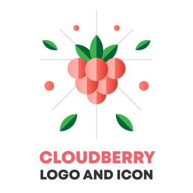 CloudBerry simgesi, logo, berry vektör çizim. Düz cloudberry simgesi, gıda, kozmetik paket için logo tasarımı. Düz cloudberry simgesi, menü için logo. Berry vektör çizim, cloudberry simgesi, logo.