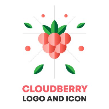 Cloudberry icon, logo, berry vector illustration. Flat cloudberry icon, logo design for food, cosmetic package. Flat cloudberry icon, logo for menu. Berry vector illustration, cloudberry icon, logo. clipart