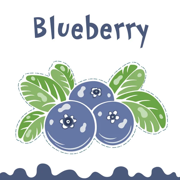 Ilustracja wektorowa borówki, jagody obrazów. Doodle Blueberry ilustracji wektorowych w fioletowy kolor niebieski i zielony. Jagoda jagody obrazy dla menu, projektowanie opakowań. Kreskówka jagody obrazy — Wektor stockowy