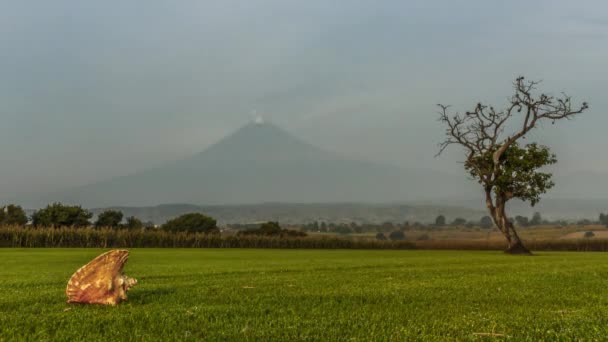 メキシコの活火山ポポカテペトル — ストック動画