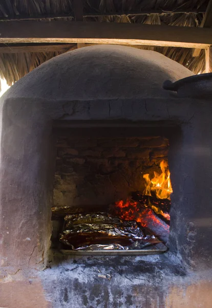 Fogão Lenha Tradicional Cozinhar Peixe Nas Brasas Oaxaca — Fotografia de Stock