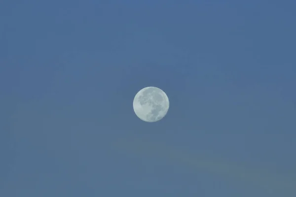 Half Moon Background Moon Астрономічне Тіло Яке Обертається Навколо Планети — стокове фото