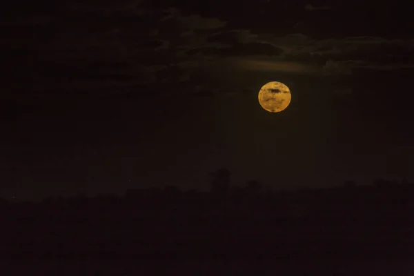 Cielo Nocturno Paisaje Luna Llena Árboles Tierra — Foto de Stock