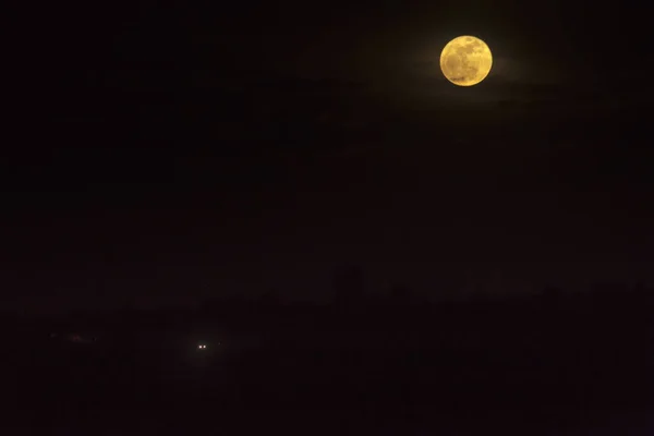 Cielo Nocturno Paisaje Luna Llena Árboles Tierra — Foto de Stock