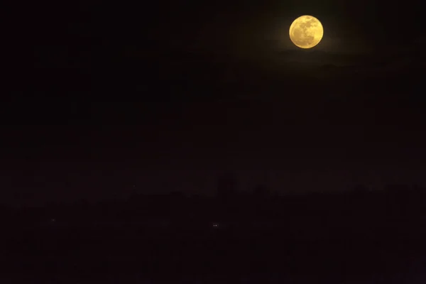 Cielo Nocturno Paisaje Luna Llena Árboles Tierra — Foto de Stock
