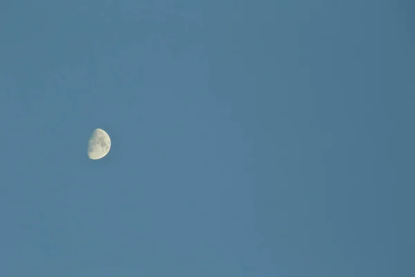 Нічне Небо Краєвид Повний Місяць Дерева Земля — стокове фото