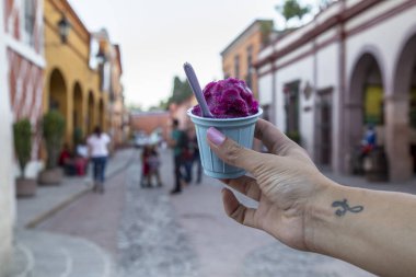 el yapımı dondurma Meksika guamuchil y biznaga Queretaro