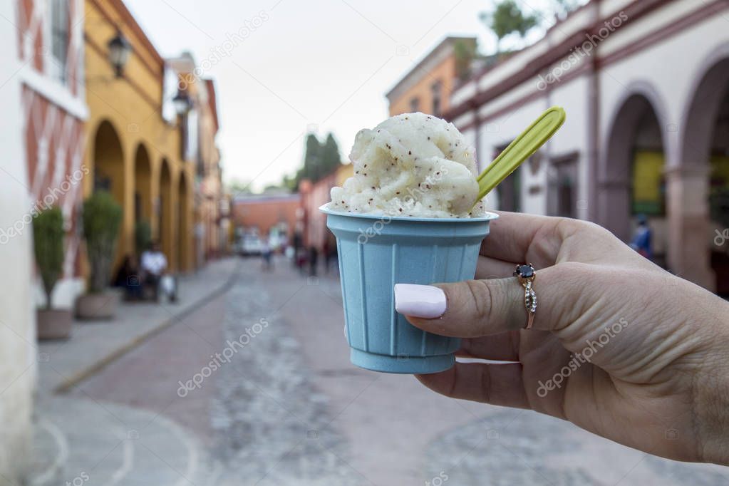 handmade ice cream Mexico guamuchil y biznaga Queretaro