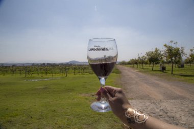 Şarap kadehi bakış açısı, üzüm bağları queretaro Meksika cava
