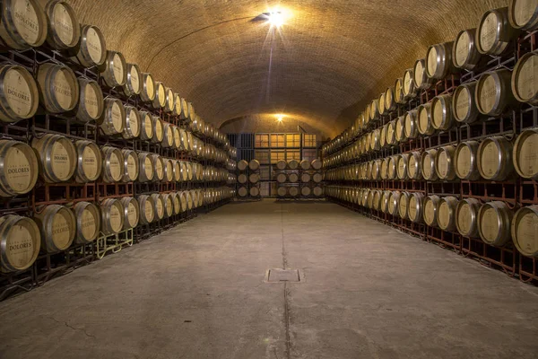 üzüm bağları queretaro Meksika cava
