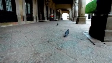 Santiago de Queretaro, Queretaro, Meksika - 24 Kasım 2019: St. Dominic Tapınağı ile Maria Pino Suarez caddesinin aşağısına bakın