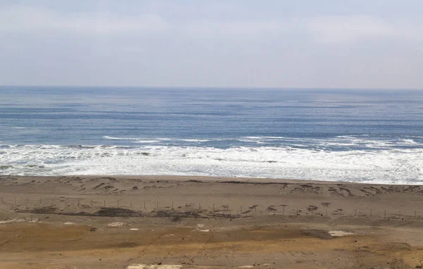 Пляжі Піско Паракас Перу Море Пустеля Збираються Разом — стокове фото