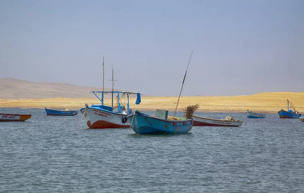 Vista Panorámica Playa Lagunillas Reserva Nacional Del Parque Paracas Perú — Foto de Stock