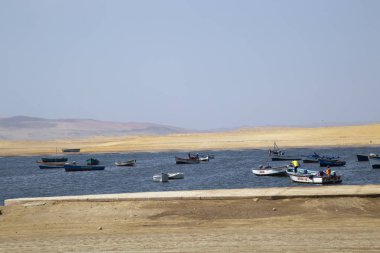 Panoramik Lagunillas Beach Ulusal rezerv olarak Paracas Park, Peru