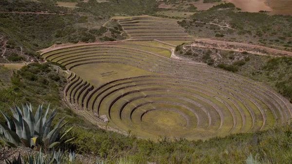 Moray Maras Sítio Arqueológico Peru — Fotografia de Stock