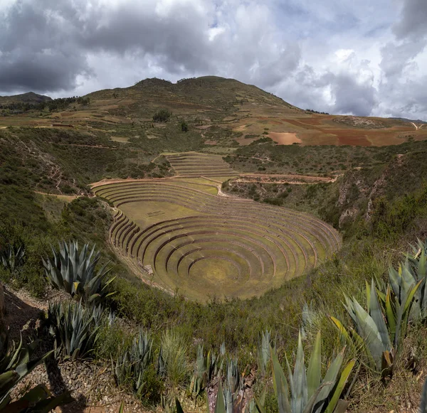 Moray Maras Sítio Arqueológico Peru — Fotografia de Stock