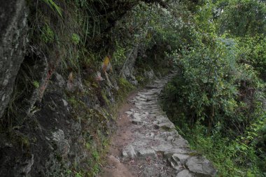 son İnka yolu köprü, Machu Picchu Peru İnka şehri kayıp-
