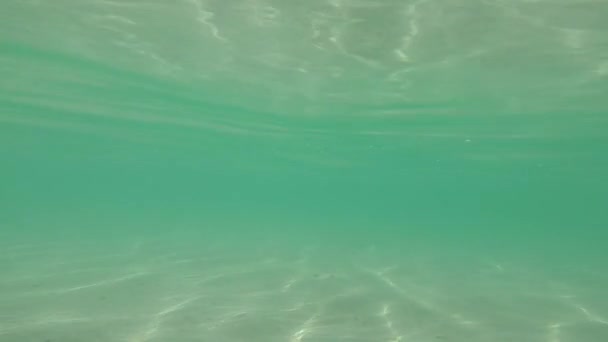Zonsondergang Lagune Van Zeven Kleuren Bacalar Quintana Roo Mxico — Stockvideo