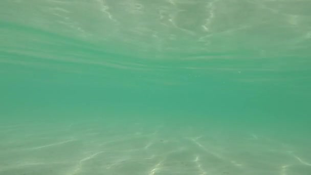 Schöne Laguna Bacalar Blick Auf Den Horizont Lagune Der Sieben — Stockvideo