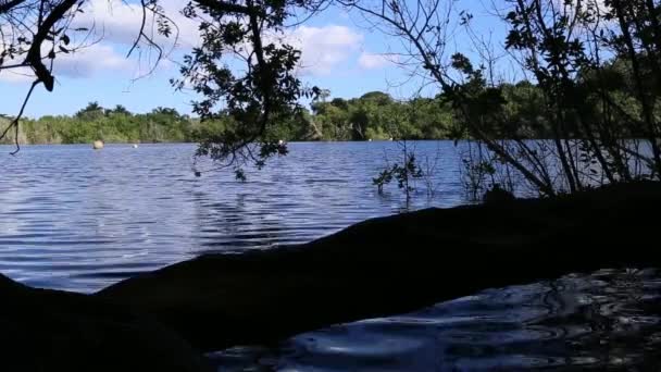 Cenote Blue Bacalar Λιμνοθάλασσα Των Επτά Χρωμάτων Quintana Roo Μεξικό — Αρχείο Βίντεο