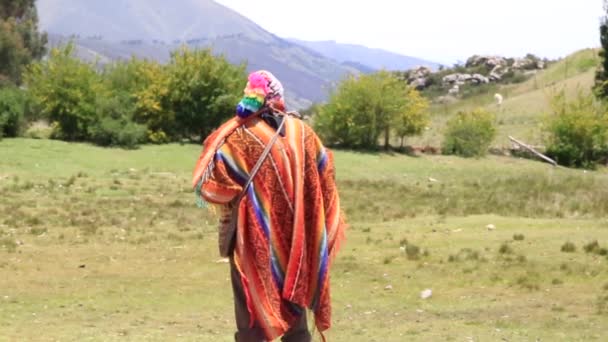 Cusco Dezembro 2018 Homem Nativo Ancião Peruano Ritual Coca — Vídeo de Stock