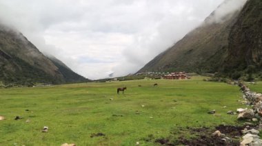 Salkantay trek Humantay gölü ,Peru, Cordillera Vilcabamba bulunan, Cusco
