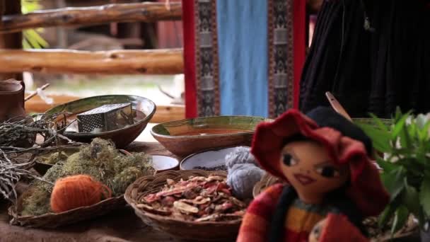 Proces Van Natuurlijke Verven Van Alpaca Lama Wol Quechua Vrouw — Stockvideo
