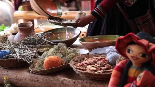 Prozess Der Natürlichen Färbung Von Alpaka Und Lamawolle Quechua Frau — Stockvideo